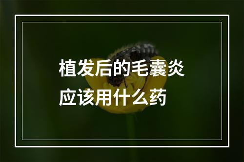 植发后的毛囊炎应该用什么药