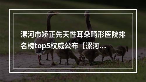 漯河市矫正先天性耳朵畸形医院排名榜top5权威公布【漯河菲蔓医疗美容实力确实靠谱】