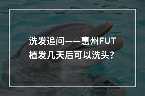 洗发追问——惠州FUT植发几天后可以洗头？