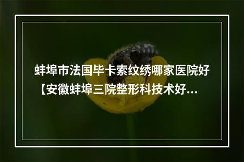 蚌埠市法国毕卡索纹绣哪家医院好【安徽蚌埠三院整形科技术好人气高】