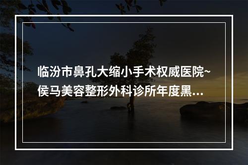 临汾市鼻孔大缩小手术权威医院~侯马美容整形外科诊所年度黑马机构出炉