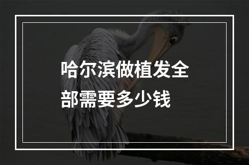 哈尔滨做植发全部需要多少钱