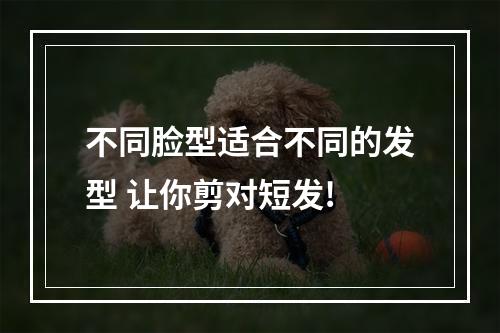 不同脸型适合不同的发型 让你剪对短发!