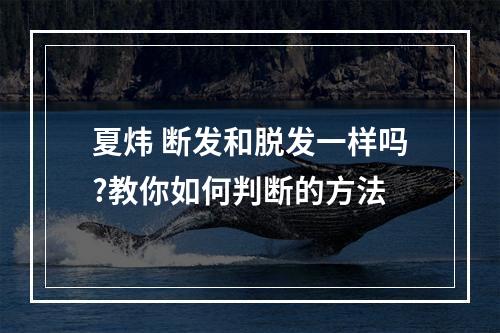 夏炜 断发和脱发一样吗?教你如何判断的方法