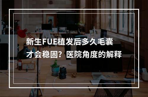 新生FUE植发后多久毛囊才会稳固？医院角度的解释