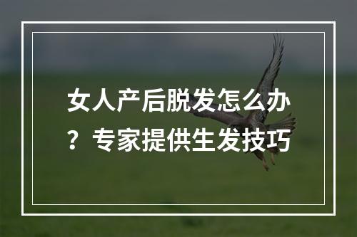 女人产后脱发怎么办？专家提供生发技巧