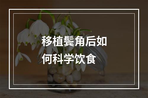 移植鬓角后如何科学饮食