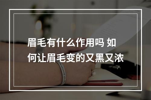 眉毛有什么作用吗 如何让眉毛变的又黑又浓