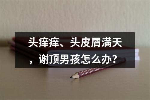 头痒痒、头皮屑满天，谢顶男孩怎么办？