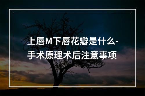 上唇M下唇花瓣是什么-手术原理术后注意事项