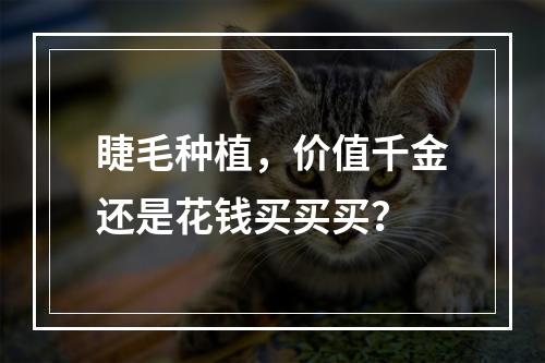 睫毛种植，价值千金还是花钱买买买？