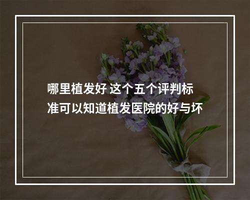 哪里植发好 这个五个评判标准可以知道植发医院的好与坏