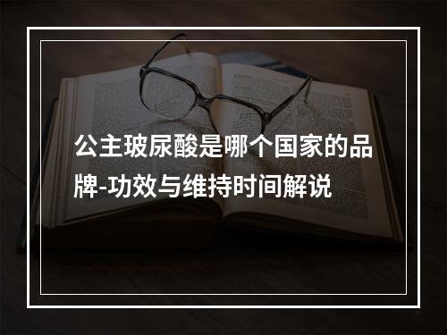 公主玻尿酸是哪个国家的品牌-功效与维持时间解说