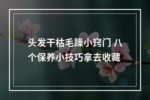 头发干枯毛躁小窍门 八个保养小技巧拿去收藏