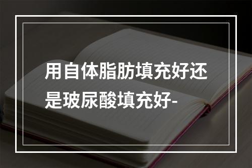 用自体脂肪填充好还是玻尿酸填充好-