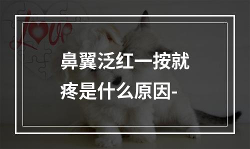 鼻翼泛红一按就疼是什么原因-