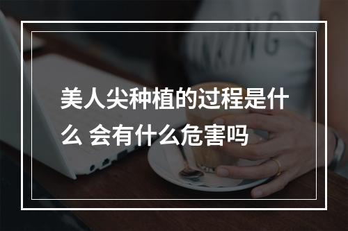 美人尖种植的过程是什么 会有什么危害吗