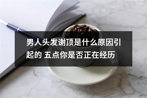 男人头发谢顶是什么原因引起的 五点你是否正在经历