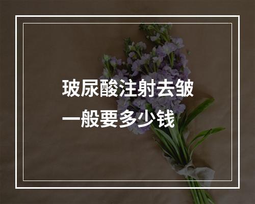 玻尿酸注射去皱一般要多少钱