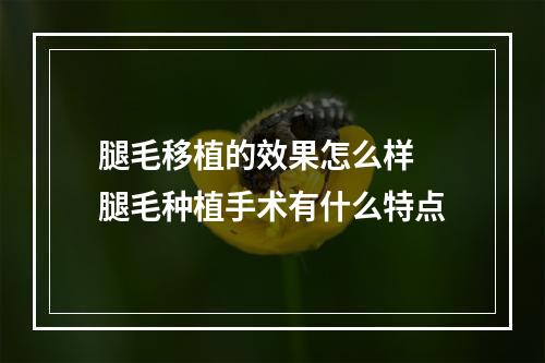 腿毛移植的效果怎么样 腿毛种植手术有什么特点