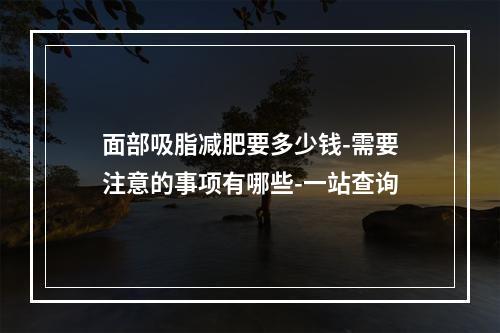 面部吸脂减肥要多少钱-需要注意的事项有哪些-一站查询