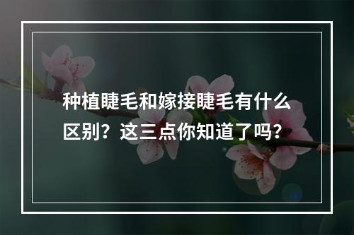 种植睫毛和嫁接睫毛有什么区别？这三点你知道了吗？