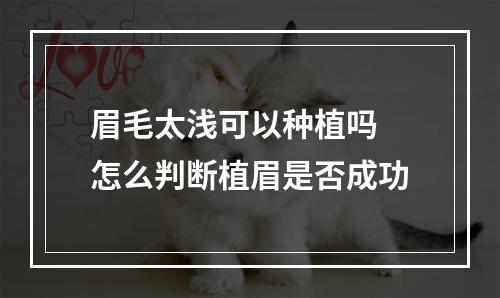 眉毛太浅可以种植吗 怎么判断植眉是否成功