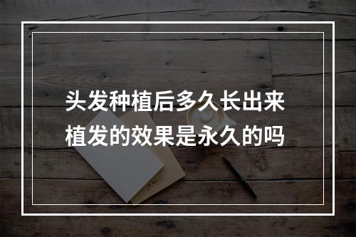 头发种植后多久长出来 植发的效果是永久的吗