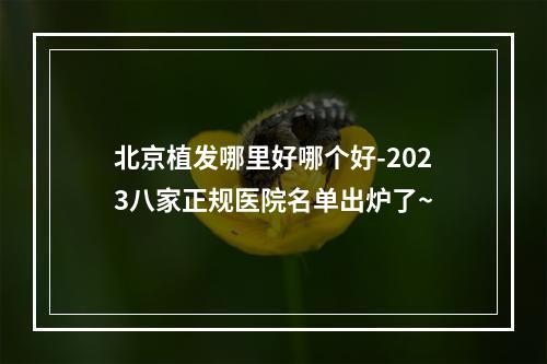 北京植发哪里好哪个好-2023八家正规医院名单出炉了~