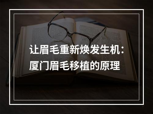 让眉毛重新焕发生机：厦门眉毛移植的原理