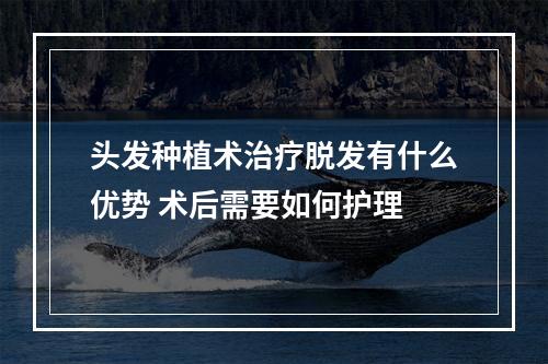 头发种植术治疗脱发有什么优势 术后需要如何护理