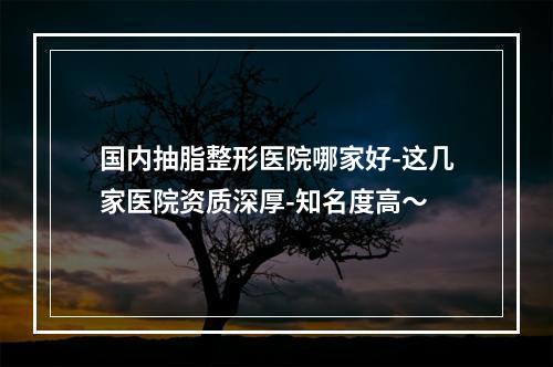 国内抽脂整形医院哪家好-这几家医院资质深厚-知名度高～