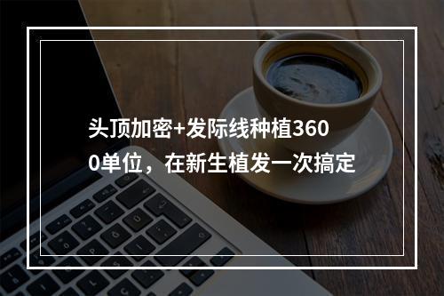 头顶加密+发际线种植3600单位，在新生植发一次搞定