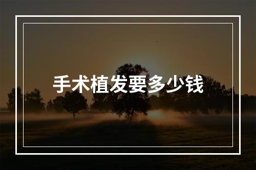 手术植发要多少钱