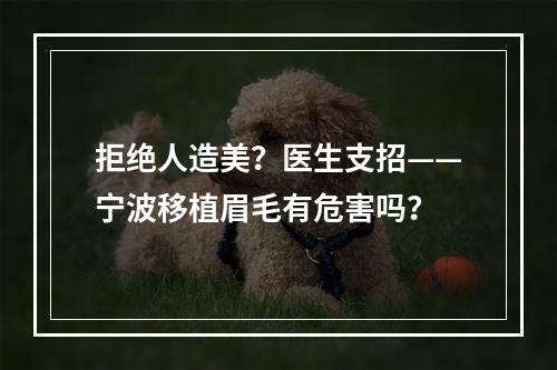 拒绝人造美？医生支招——宁波移植眉毛有危害吗？