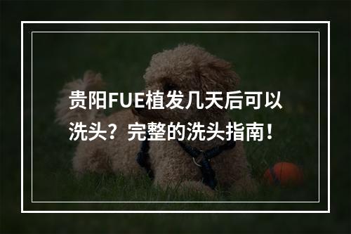 贵阳FUE植发几天后可以洗头？完整的洗头指南！