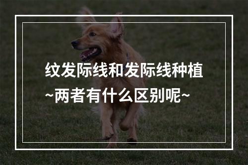 纹发际线和发际线种植~两者有什么区别呢~