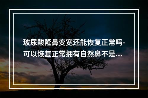 玻尿酸隆鼻变宽还能恢复正常吗-可以恢复正常拥有自然鼻不是梦