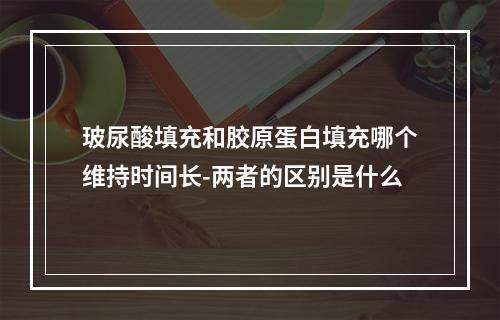 玻尿酸填充和胶原蛋白填充哪个维持时间长-两者的区别是什么