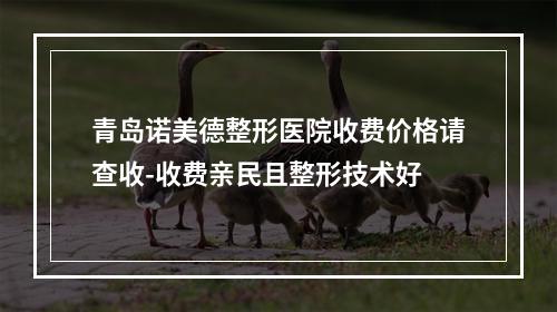 青岛诺美德整形医院收费价格请查收-收费亲民且整形技术好