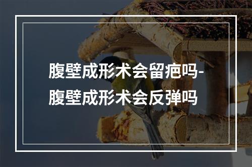 腹壁成形术会留疤吗-腹壁成形术会反弹吗