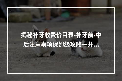 揭秘补牙收费价目表-补牙前-中-后注意事项保姆级攻略一并奉上