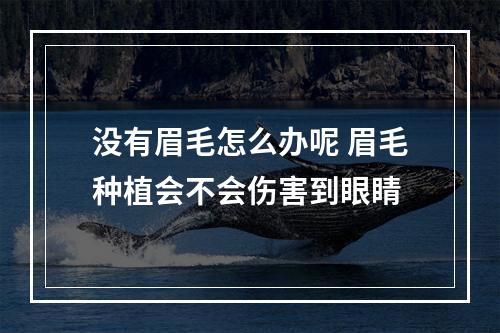 没有眉毛怎么办呢 眉毛种植会不会伤害到眼睛