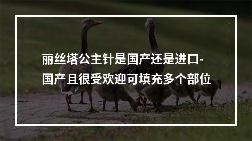 丽丝塔公主针是国产还是进口-国产且很受欢迎可填充多个部位