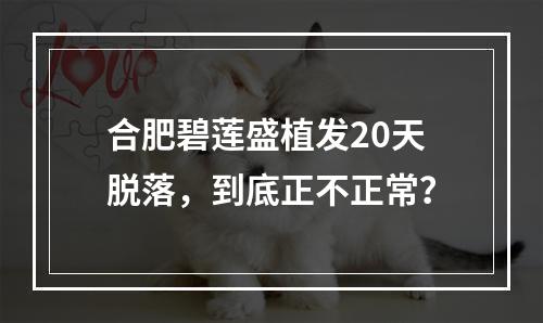 合肥碧莲盛植发20天脱落，到底正不正常？