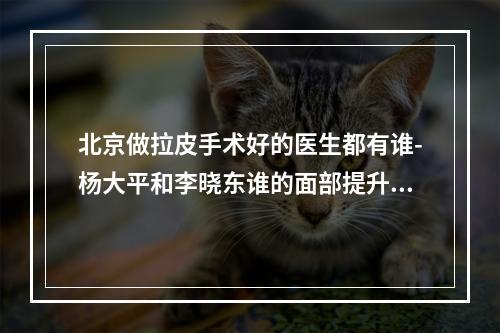 北京做拉皮手术好的医生都有谁-杨大平和李晓东谁的面部提升更好-