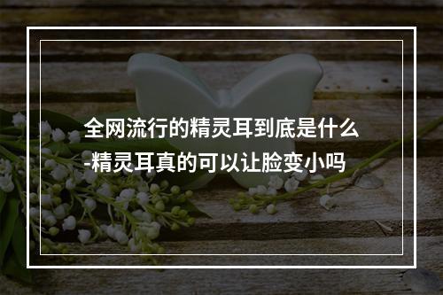 全网流行的精灵耳到底是什么-精灵耳真的可以让脸变小吗