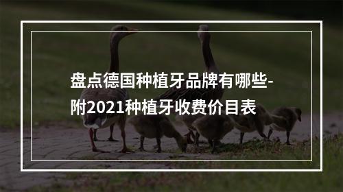 盘点德国种植牙品牌有哪些-附2021种植牙收费价目表