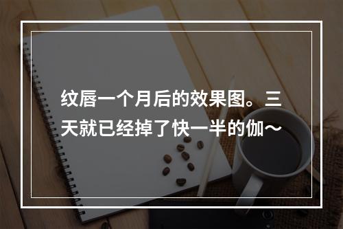 纹唇一个月后的效果图。三天就已经掉了快一半的伽～