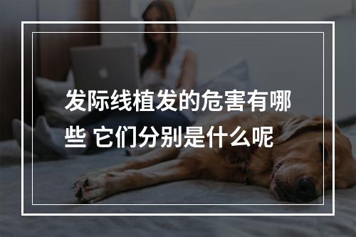 发际线植发的危害有哪些 它们分别是什么呢